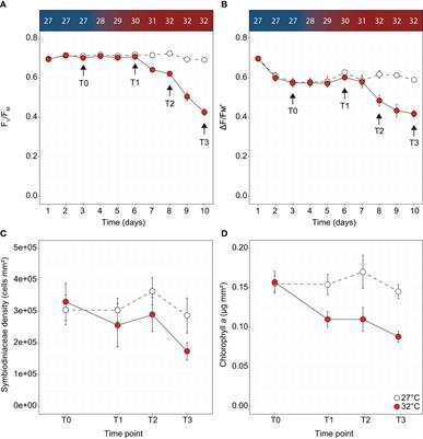 Increased DMSP availability during thermal stress influences DMSP-degrading bacteria in coral mucus